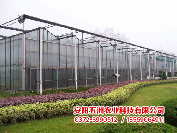 連棟大棚 連棟大棚